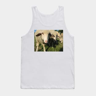 Curious sheep Tank Top